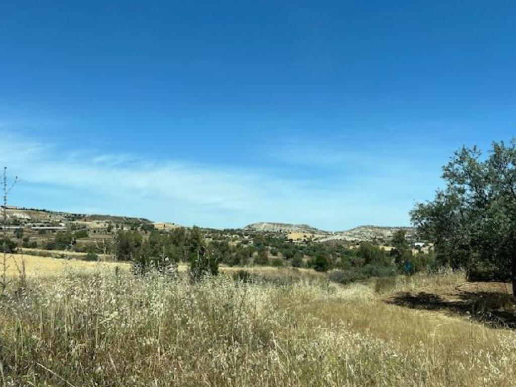 Field-Analiontas-PR38884