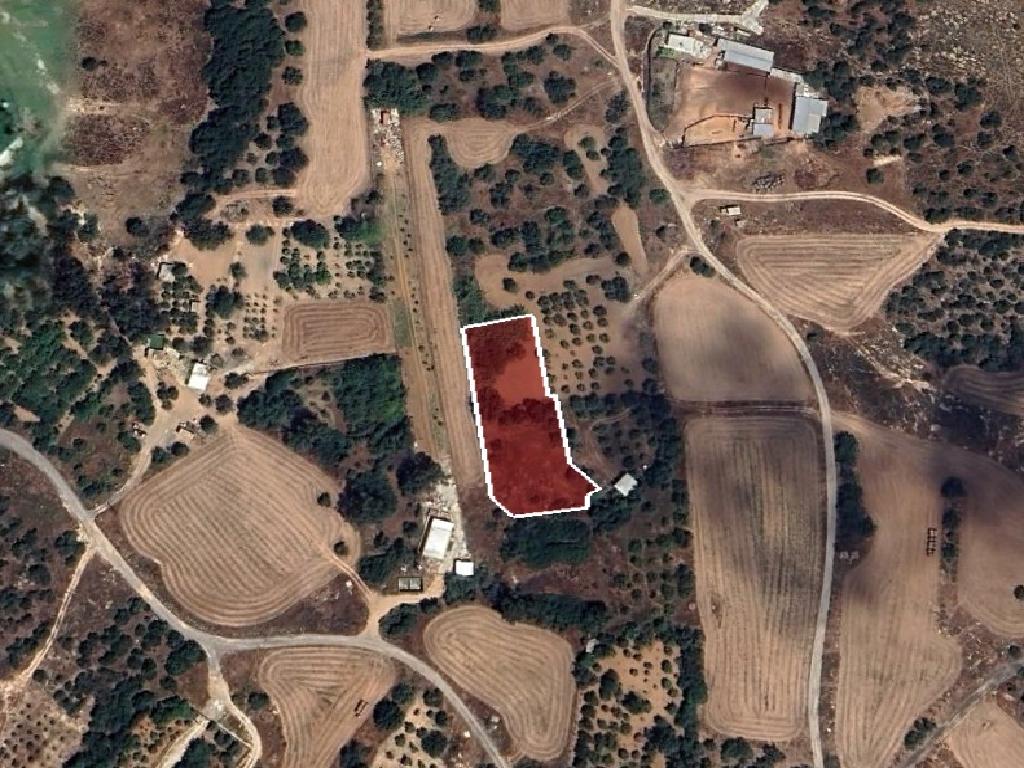 Field-Paralimni-PR39448