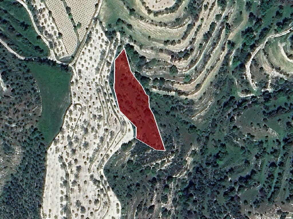 Field-Kallepeia-PR39945