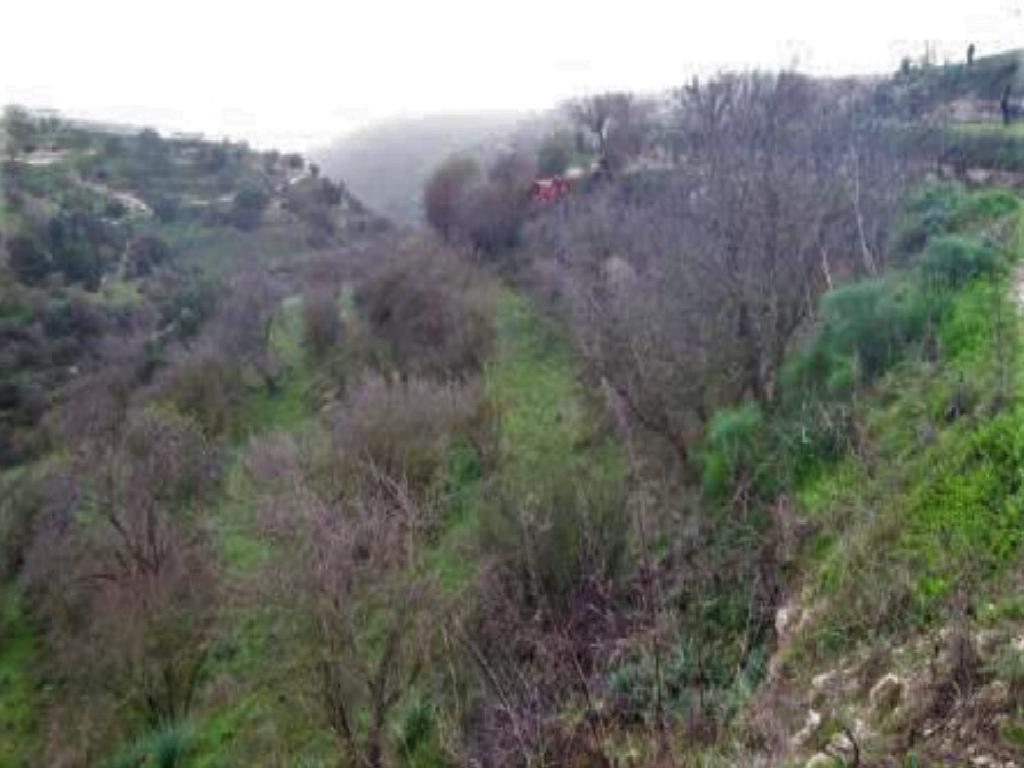 Field-Kallepeia-PR39945