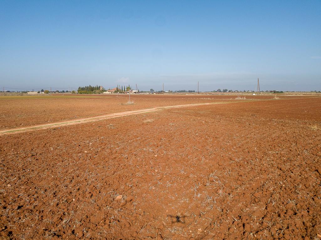 Field-Avgorou-PR40443