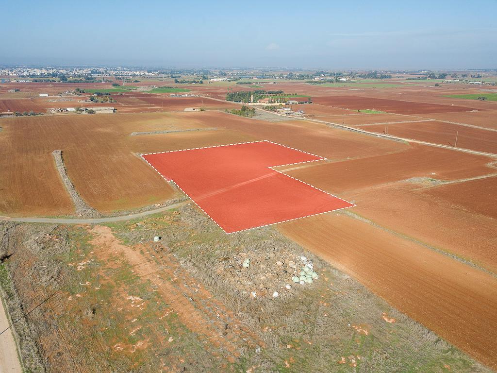 Field-Avgorou-PR40443