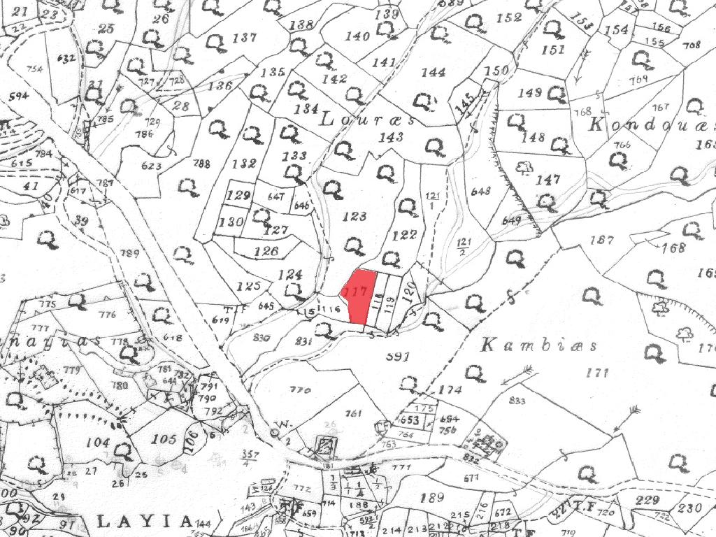 Field-Lageia-PR40550
