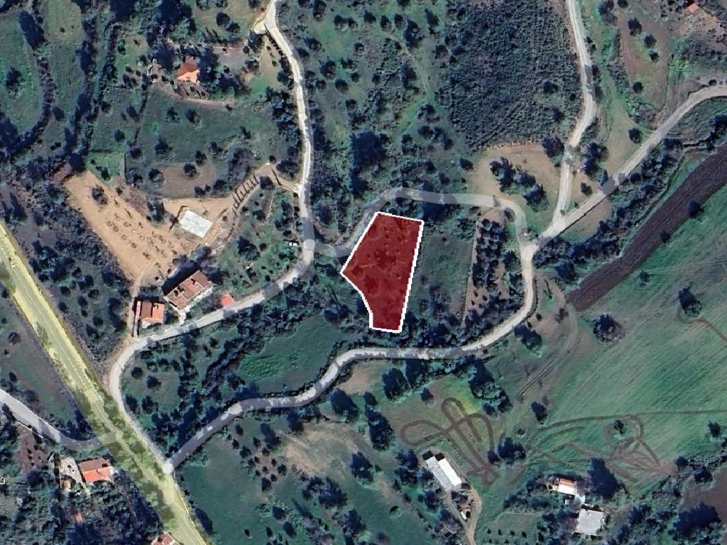 Field-Lageia-PR40550