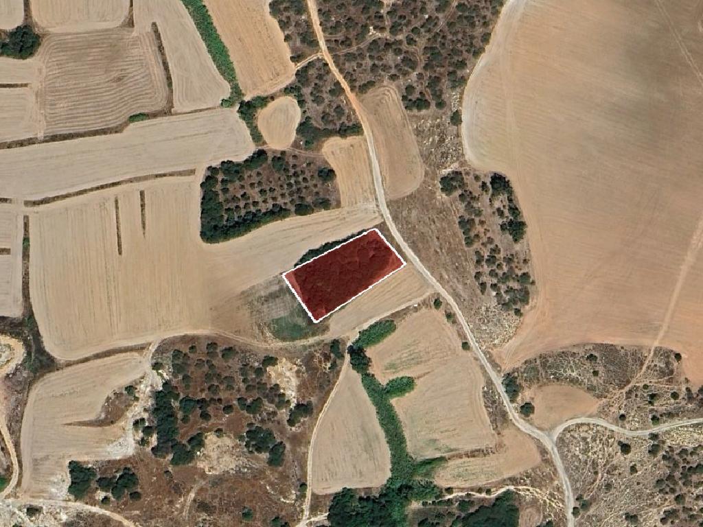 Field-Paralimni-PR41378