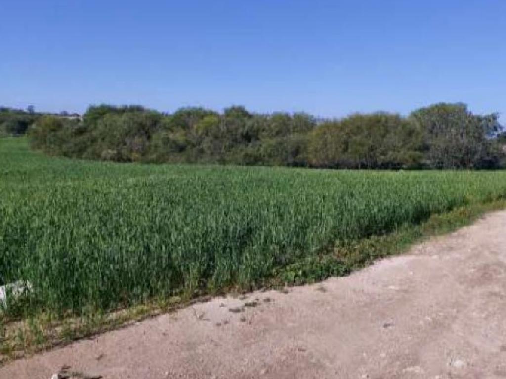 Field-Paralimni-PR41378