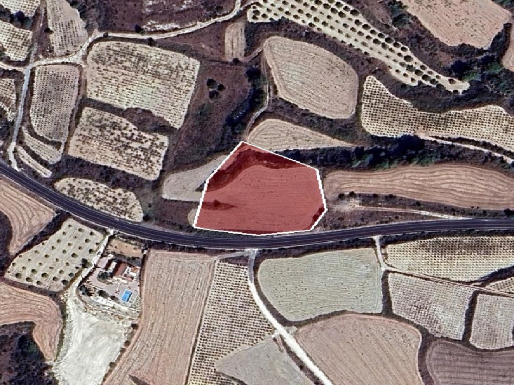 Field-Stroumpi-PR41890