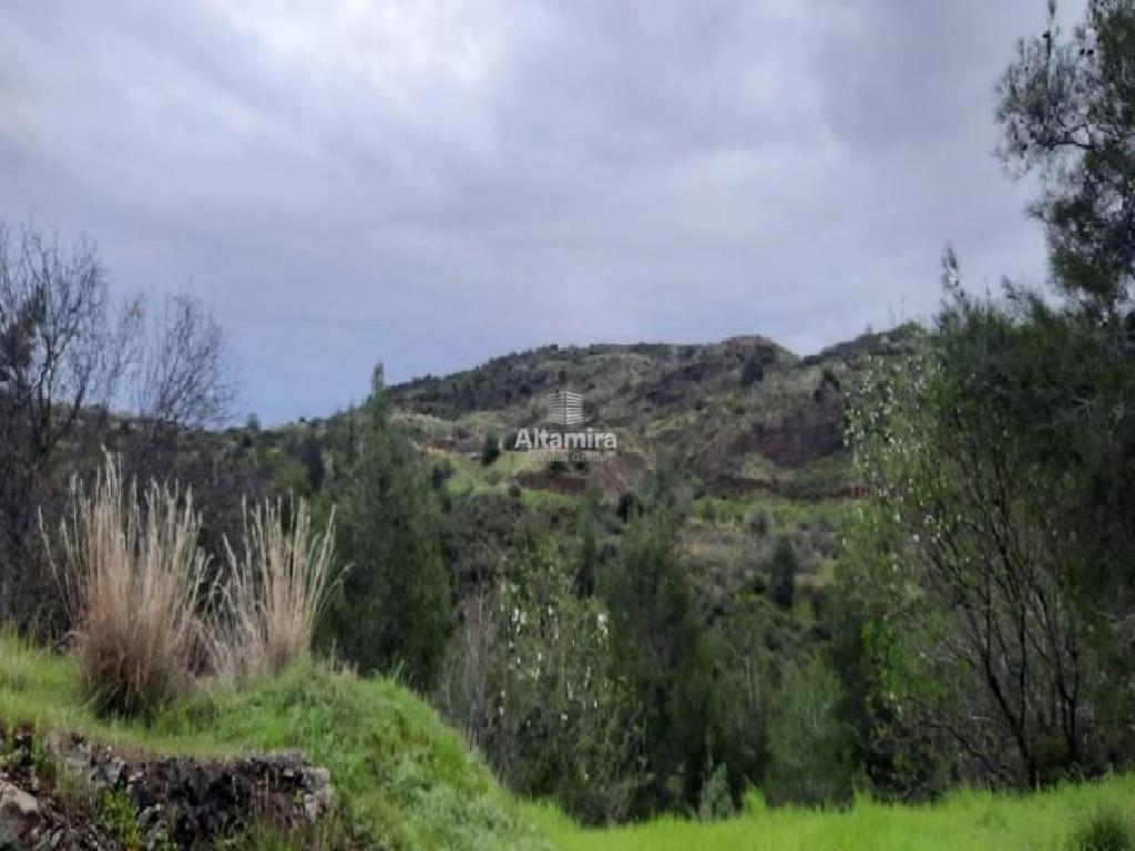 Field-Pano Pyrgos-PR42614