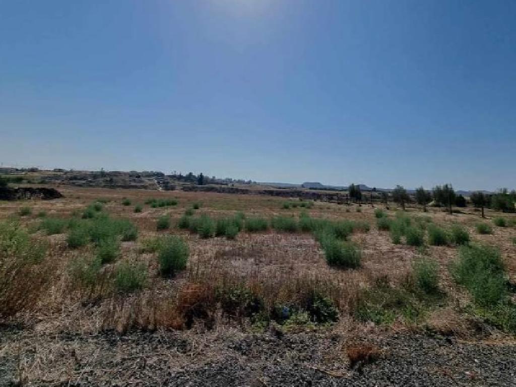 Field-Ergates-CP10158