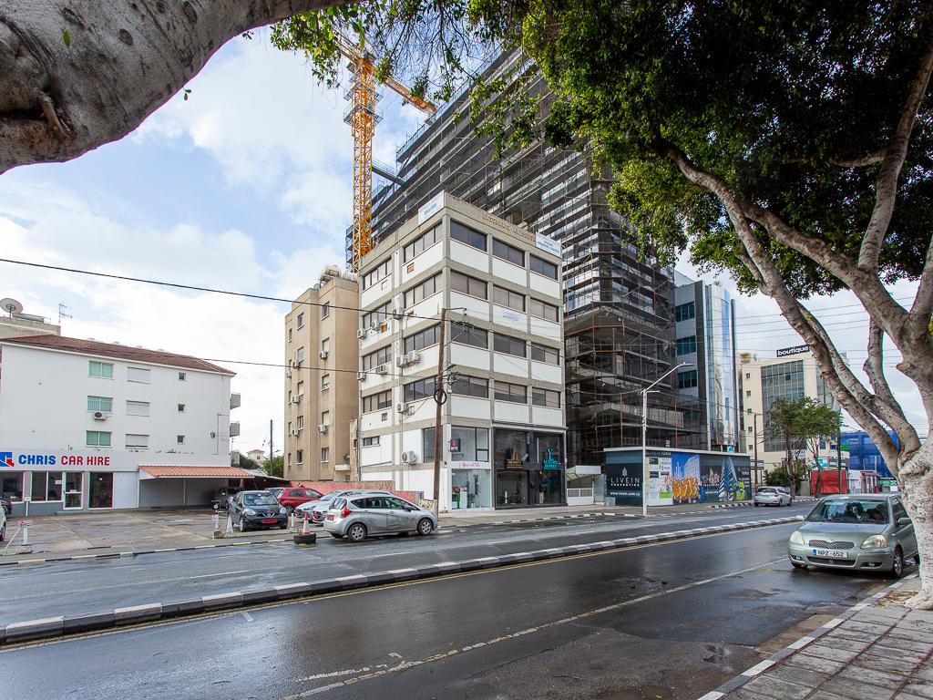 &Delta;&iota;&alpha;&mu;έ&rho;&iota;&sigma;&mu;&alpha; - &Alpha;&gamma;ί&alpha; &Zeta;ώ&nu;&eta;, &Lambda;&epsilon;&mu;&epsilon;&sigma;ό&sigmaf;