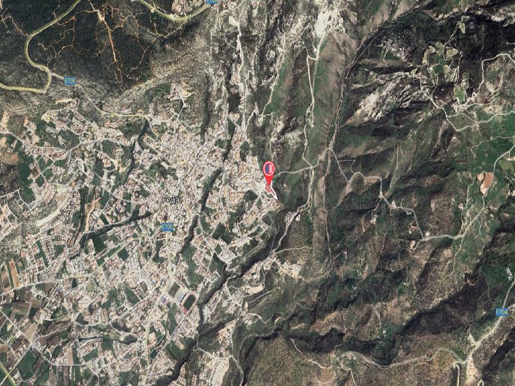 Flat-Pegeia-PR45490