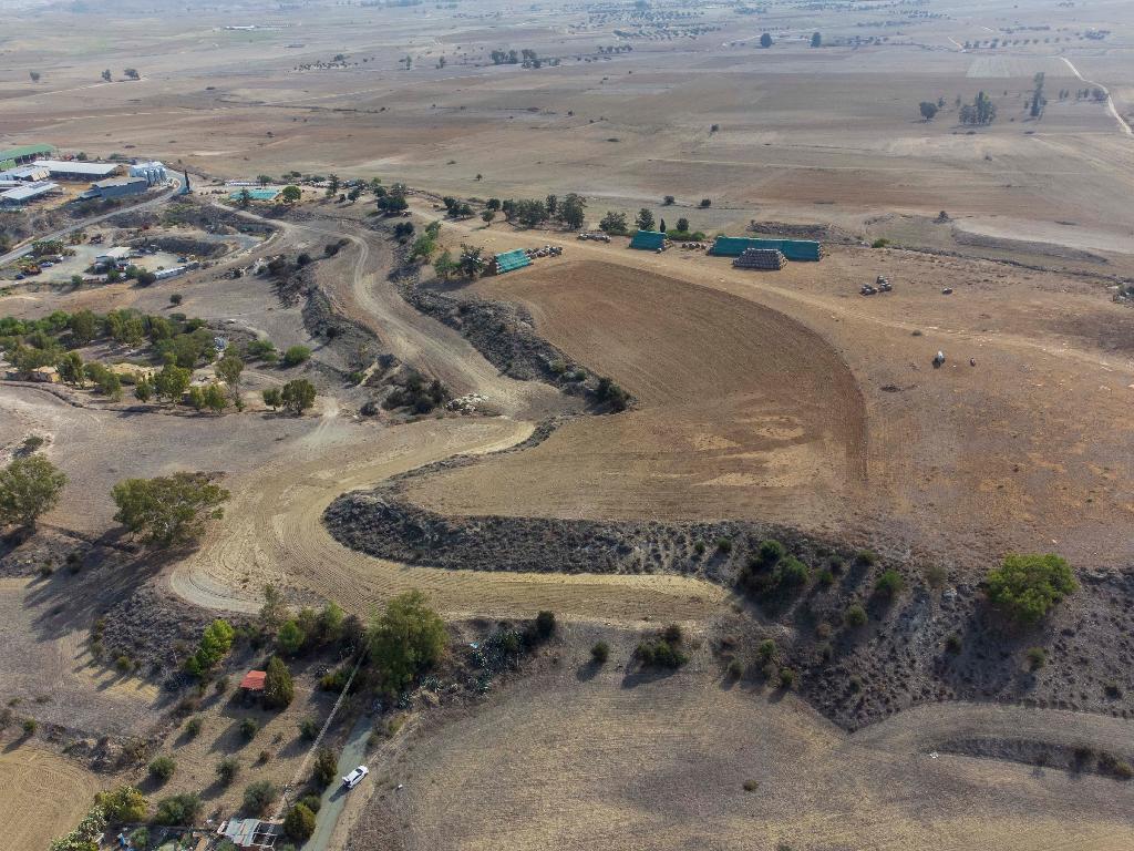 Field - Potamia, Nicosia