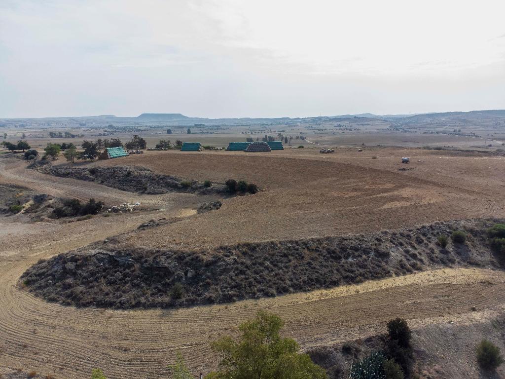 Field - Potamia, Nicosia