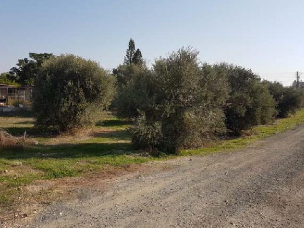 Field (Share) - Pera Chorio, Nicosia