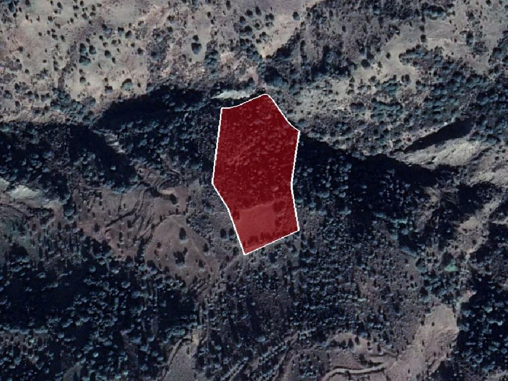 Field-Statos - Agios Fotios-PR34018