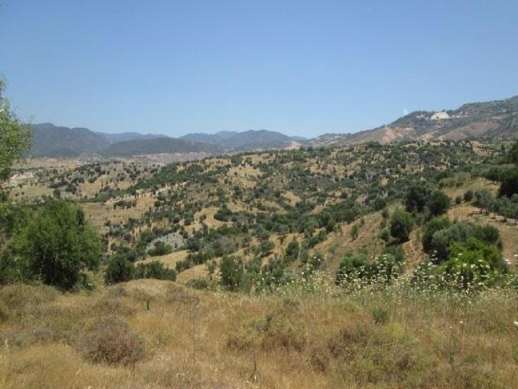 Field-Statos - Agios Fotios-PR34018