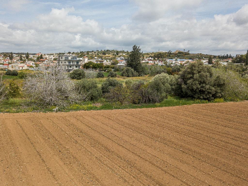 Field (Share) - Kato Polemidia, Limassol