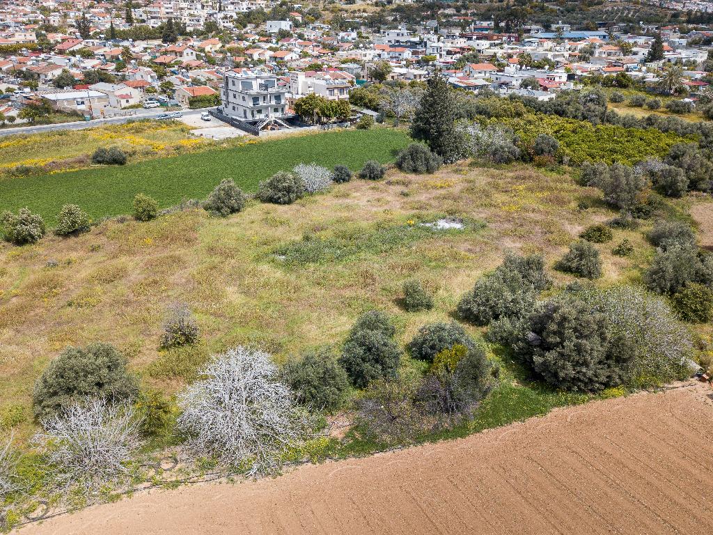 Field (Share) - Kato Polemidia, Limassol