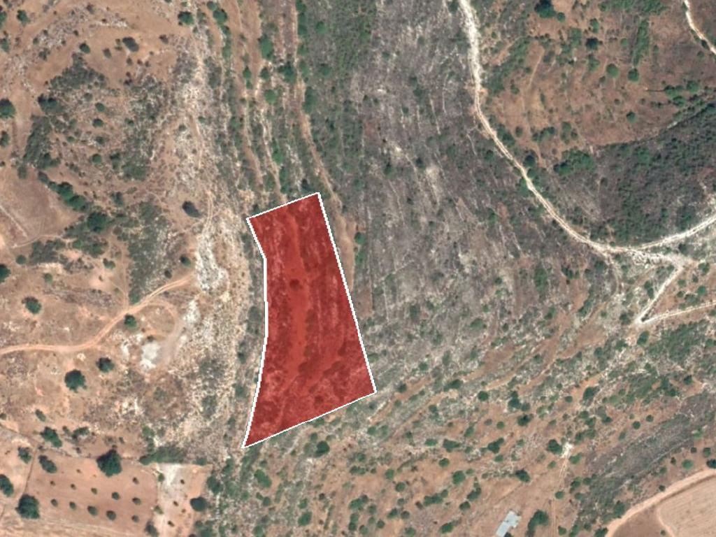 Field-Pachna-PR34622