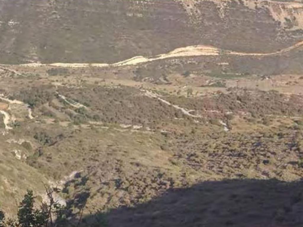 Field-Pachna-PR34622