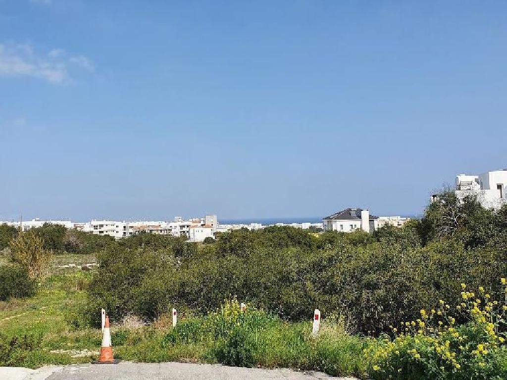 Field-Paralimni-PR34195