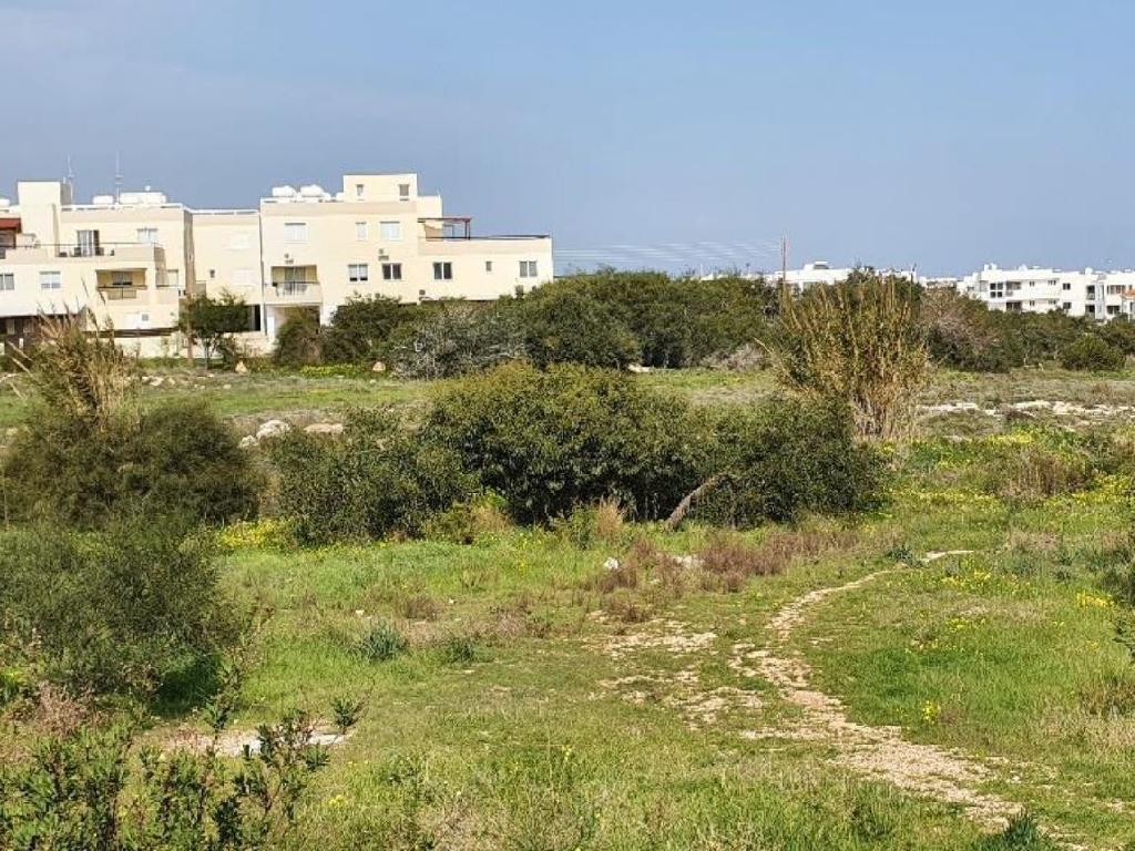 Field-Paralimni-PR34195