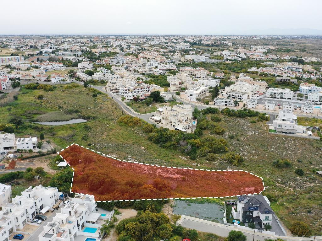 Field-Paralimni-PR34195