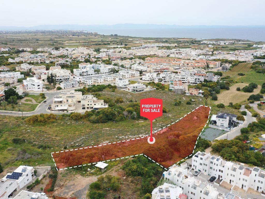 Field-Paralimni-PR34195