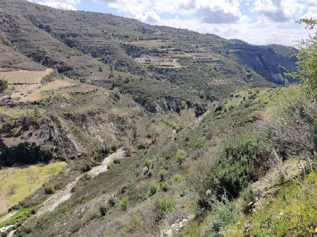 Field-Koilani-PR36016