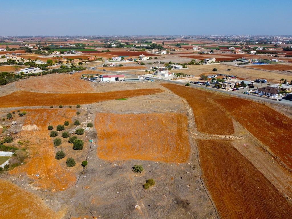 Field-Xylofagou-PR37318