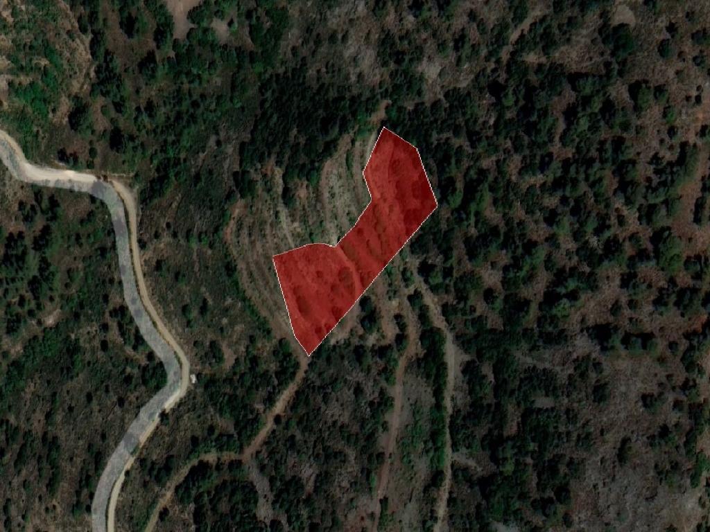Field-Farmakas-PR37396