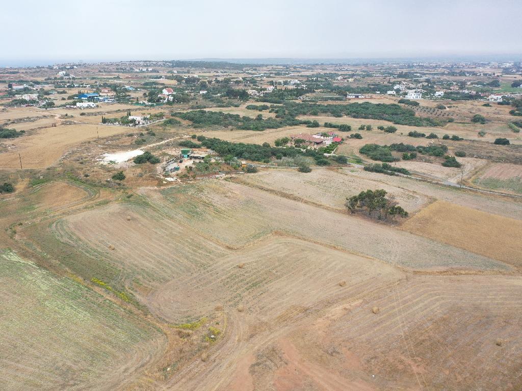 Field - Paralimni, Famagusta