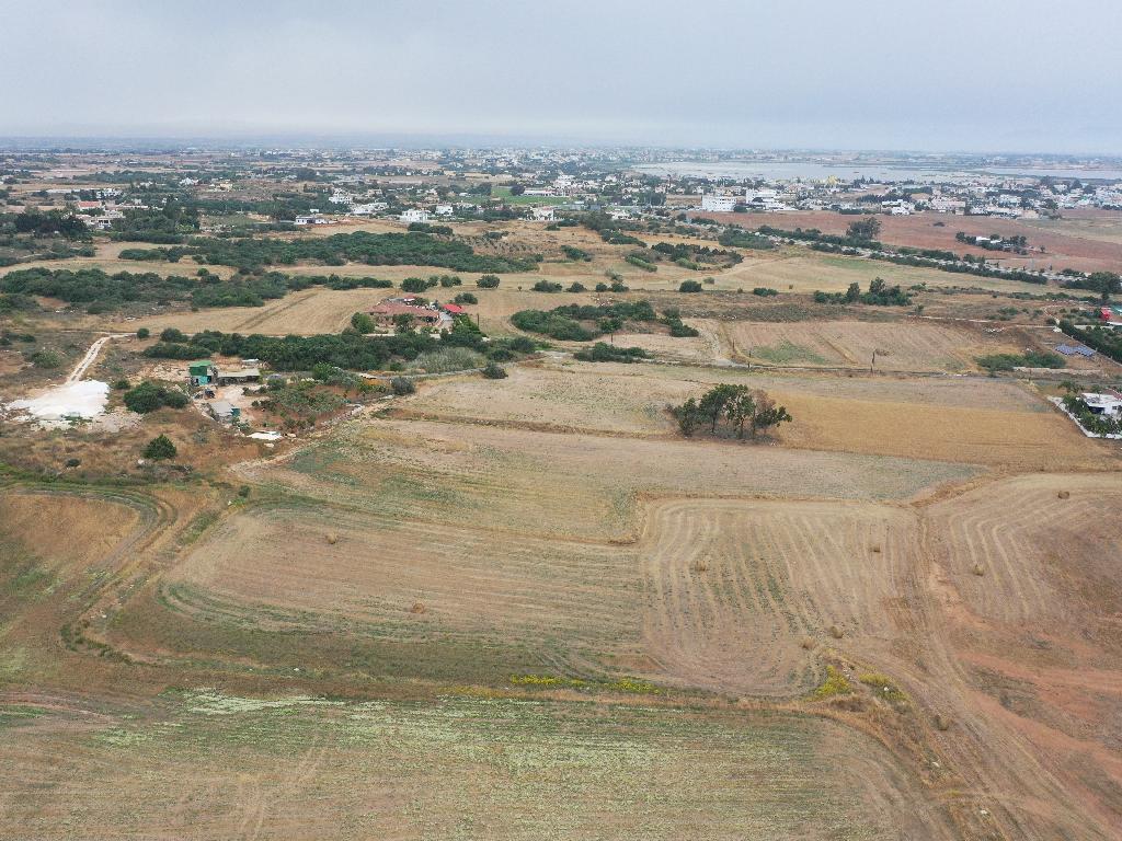 Field - Paralimni, Famagusta