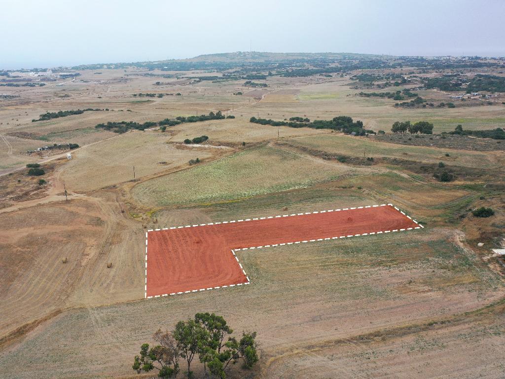 Field - Paralimni, Famagusta