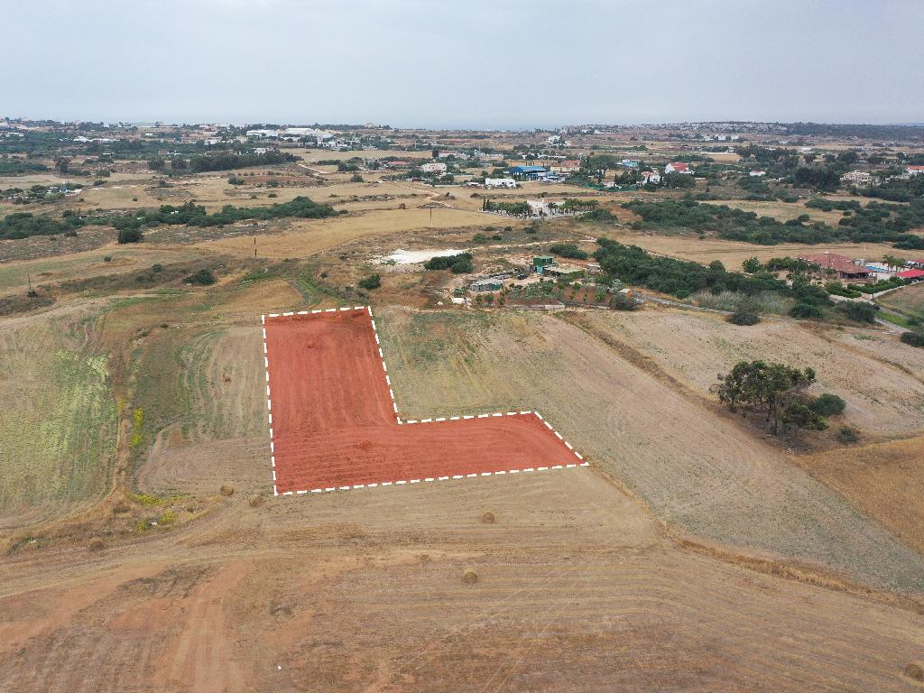 Field - Paralimni, Famagusta