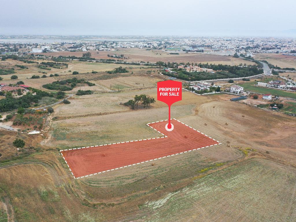 Field - Paralimni, Famagusta