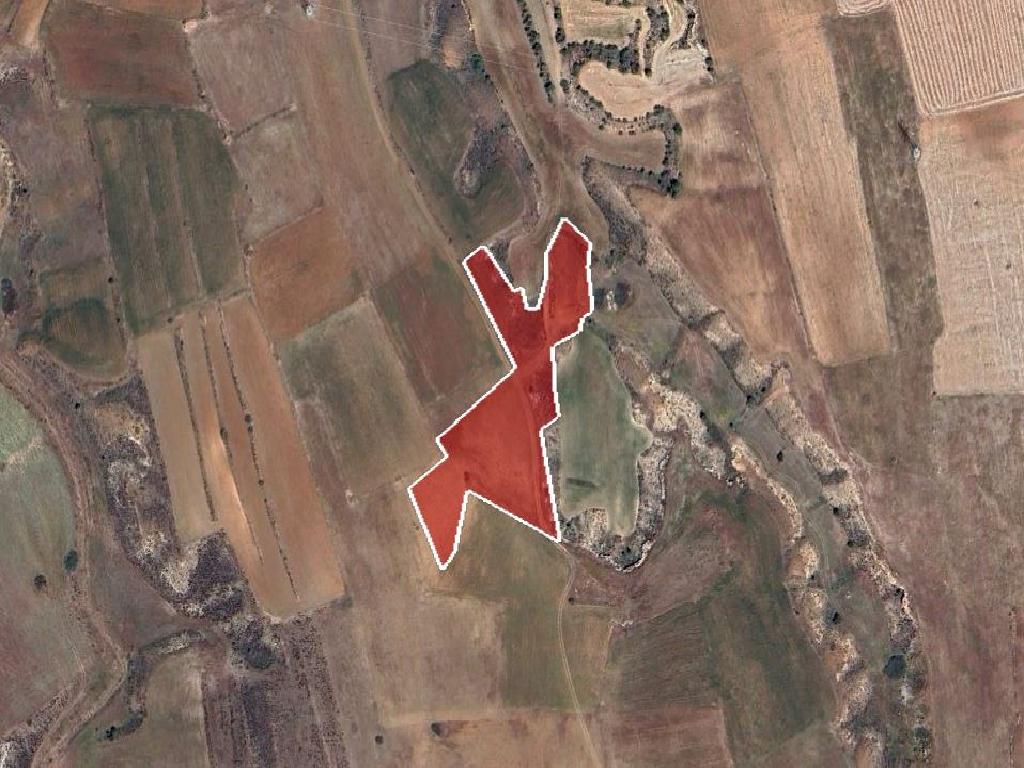 Field-Paleometocho-PR38723