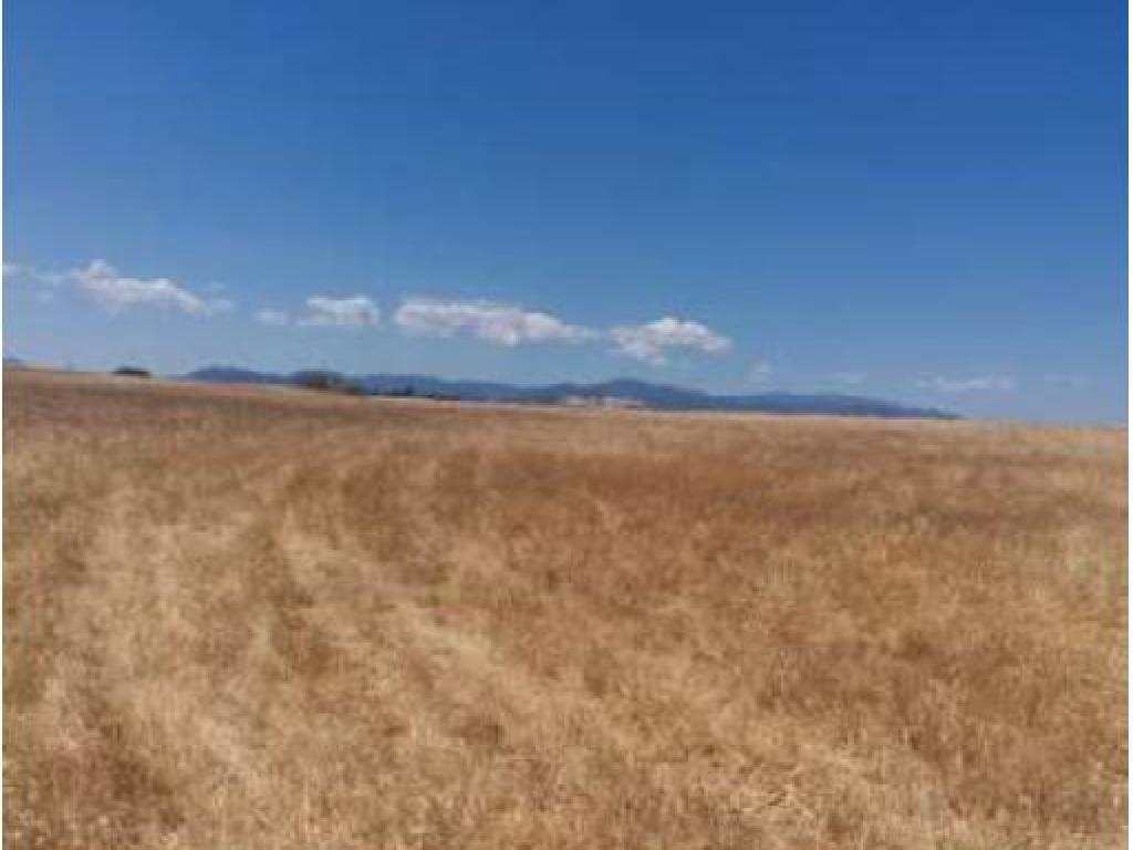 Field-Paleometocho-PR38723
