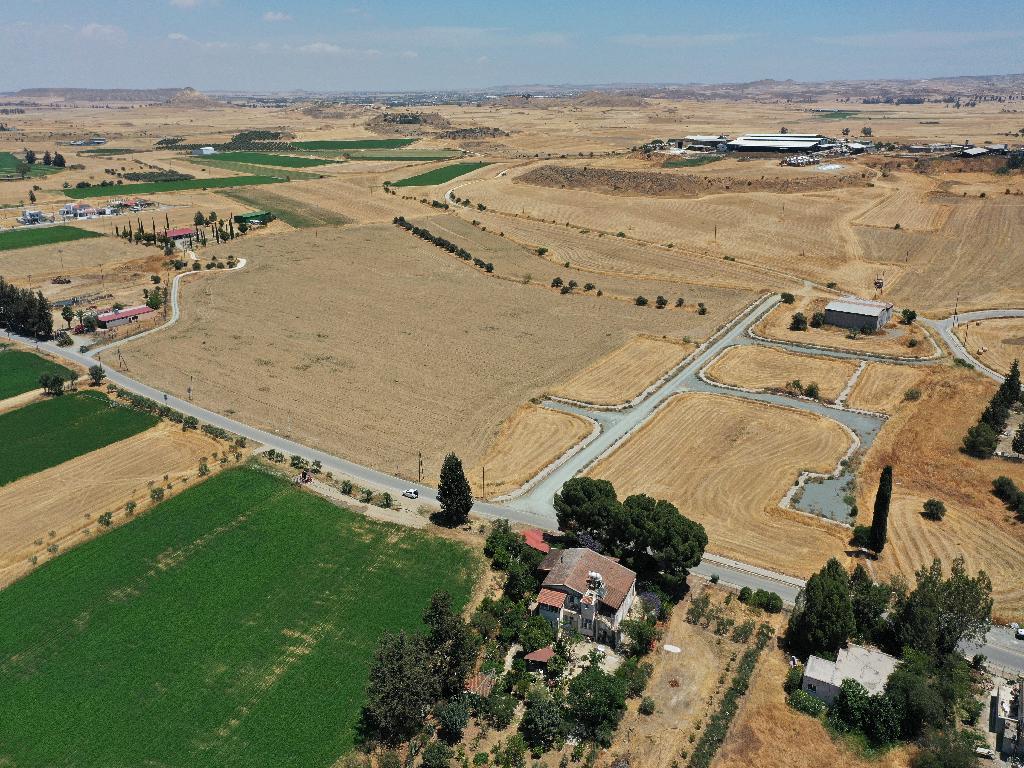 Field-Potamia-CP10013