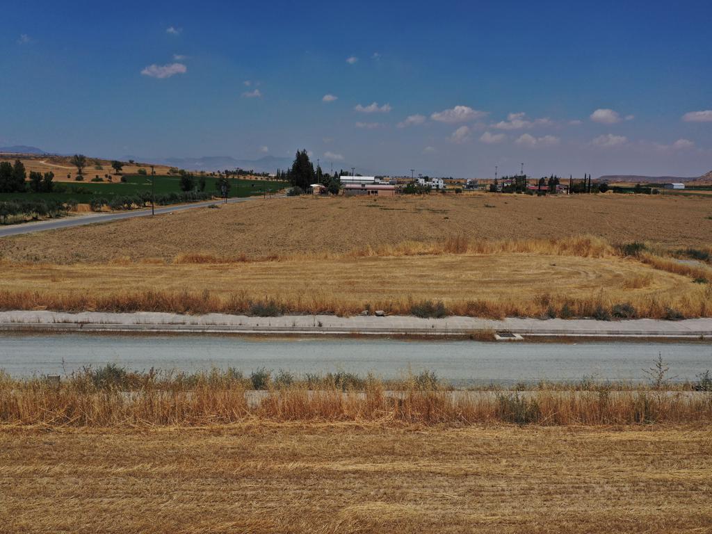 Field - Potamia, Nicosia