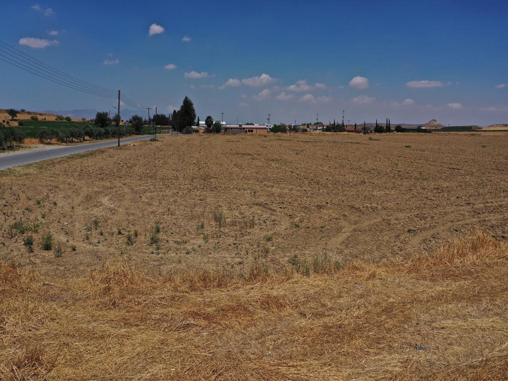 Field-Potamia-CP10013