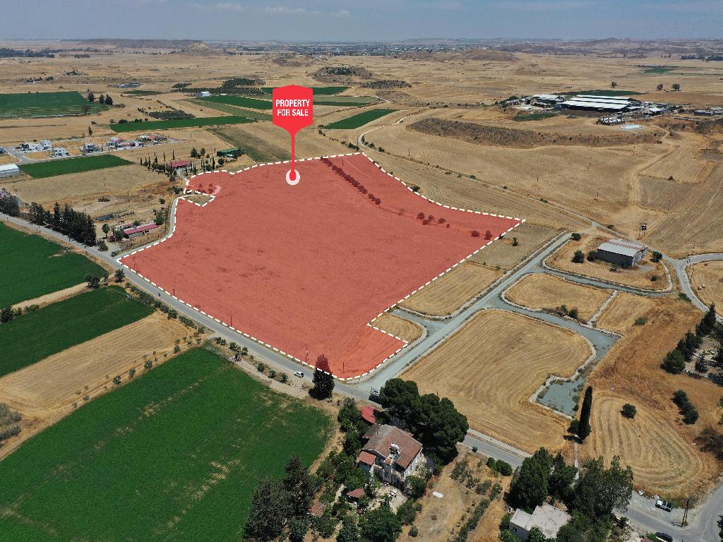 Field - Potamia, Nicosia