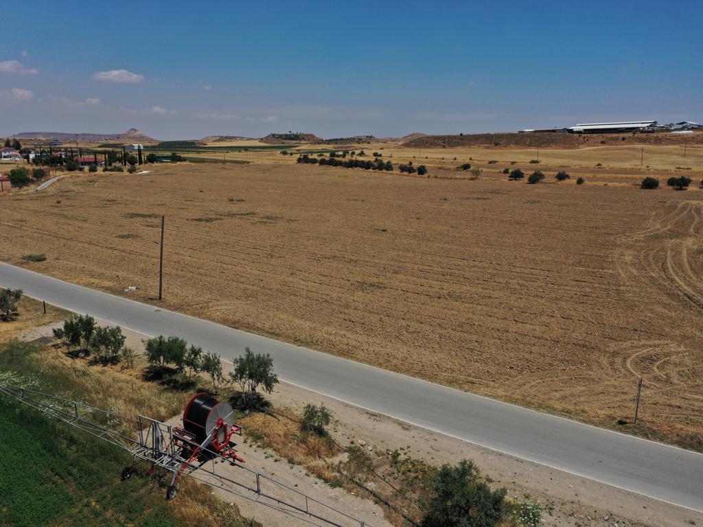 Field - Potamia, Nicosia
