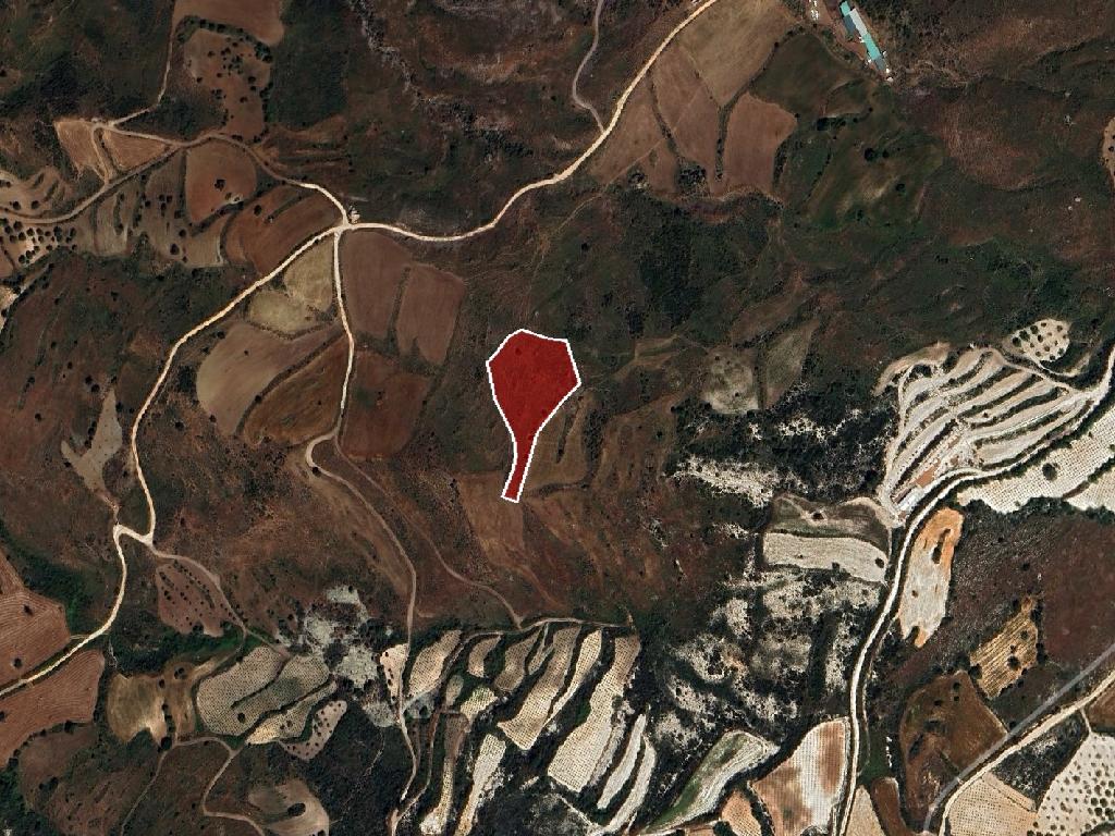 Field-Ineia-PR42444