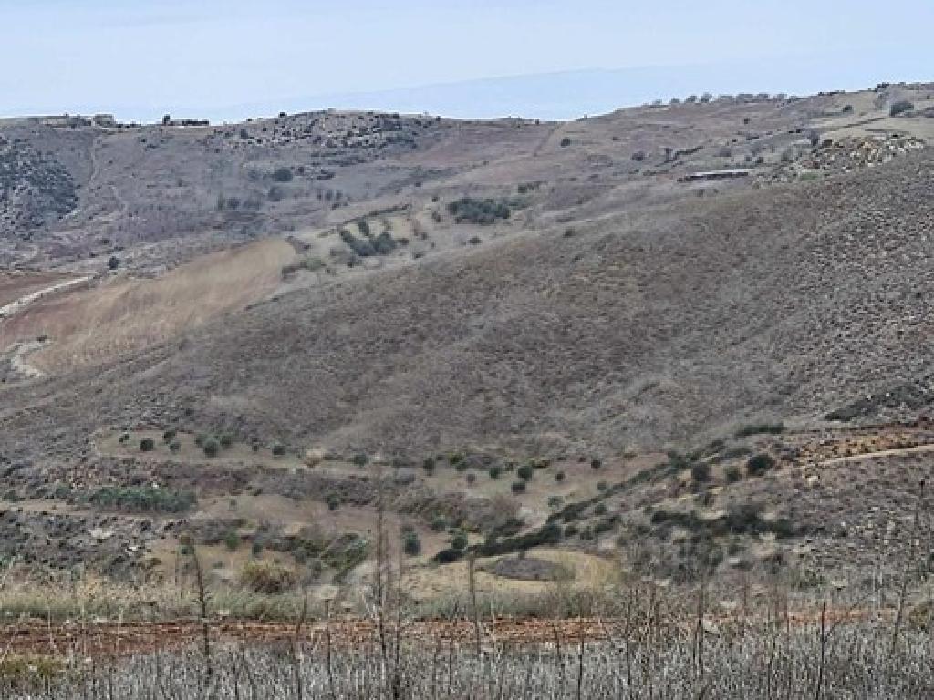 Field - Ineia, Paphos