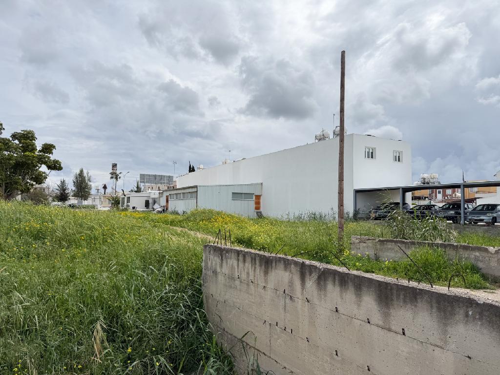 Field - Paralimni, Famagusta