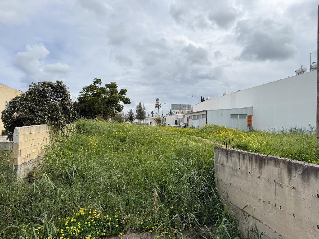 Field - Paralimni, Famagusta