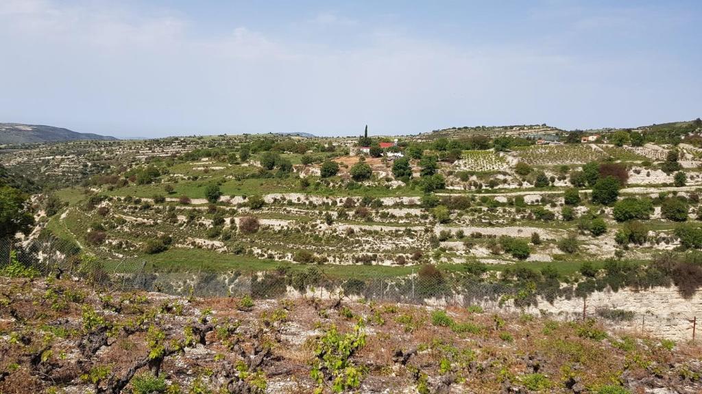 Field-Vasa Koilaniou-PR12589