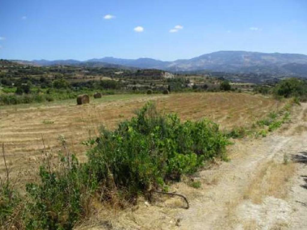 Field - Polemi, Paphos