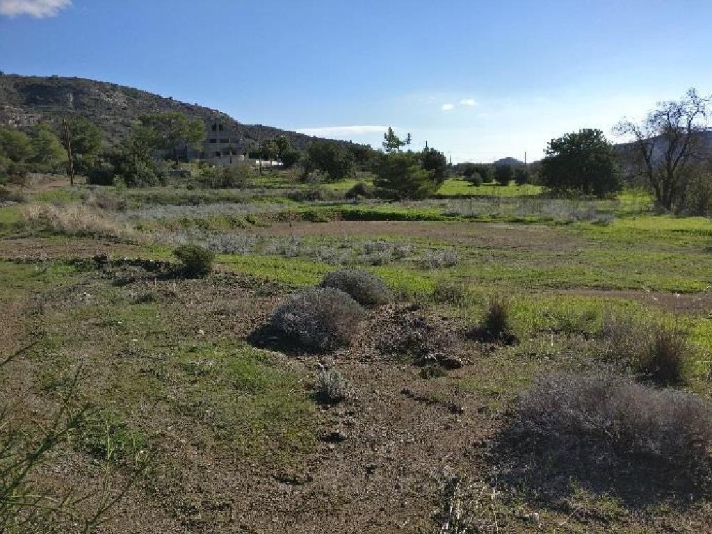 Field-Asgata-PR15309
